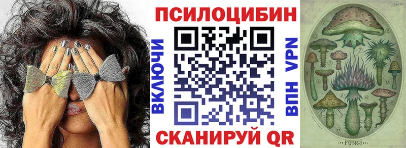 Галлюциногенные грибы Psilocybe  Купить закладки  Старый Оскол 